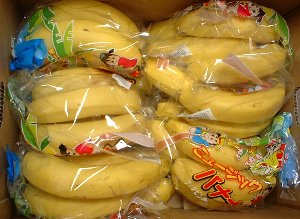 1箱販売