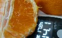�җ�f�R�|���叫�G�D�i