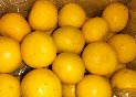 ���E�}�܂�₩������