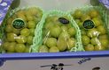 �s�_�̃V���C���}�X�J�b�g